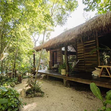 Madre Tierra Eco Habitat Vendégház Puerto Morelos Kültér fotó