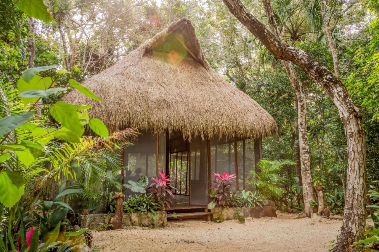 Madre Tierra Eco Habitat Vendégház Puerto Morelos Kültér fotó