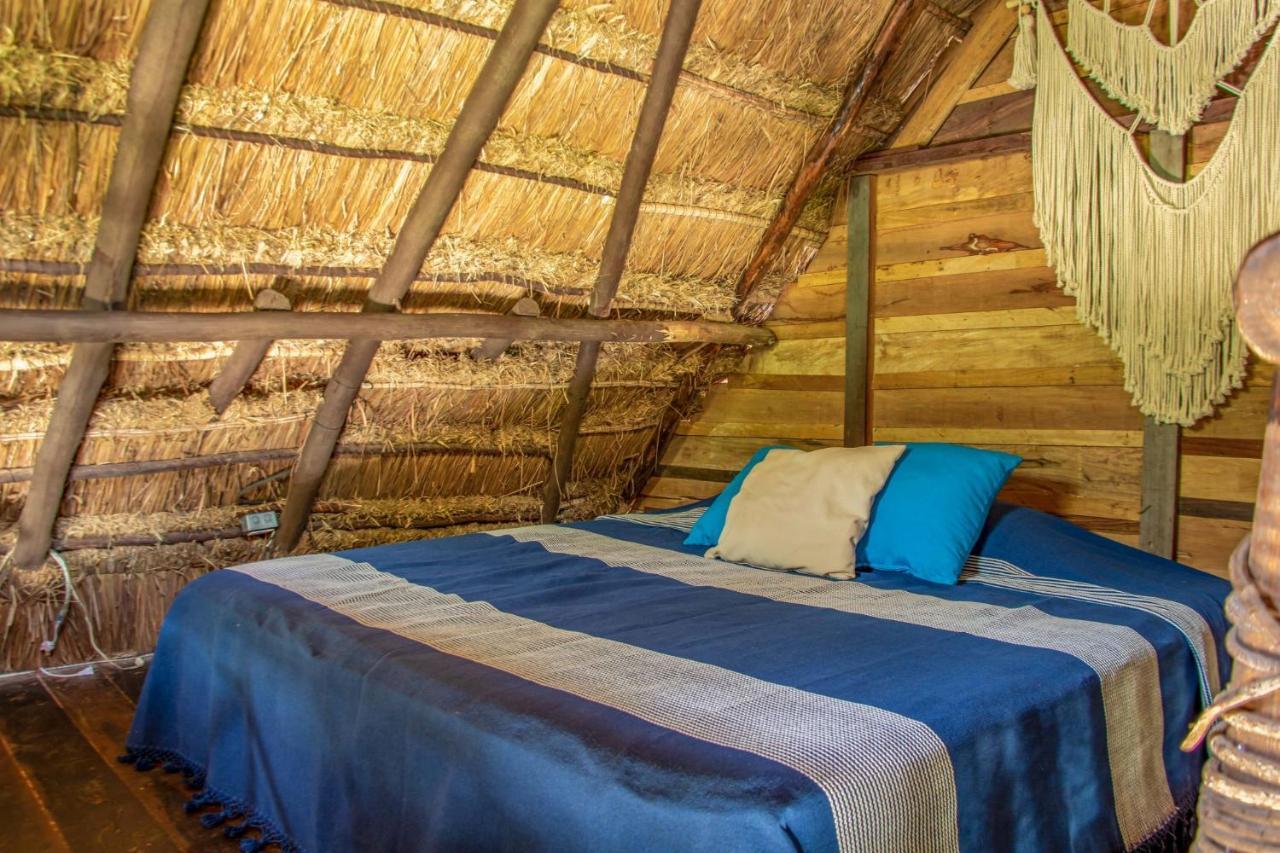 Madre Tierra Eco Habitat Vendégház Puerto Morelos Kültér fotó
