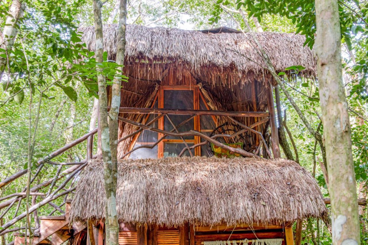 Madre Tierra Eco Habitat Vendégház Puerto Morelos Kültér fotó