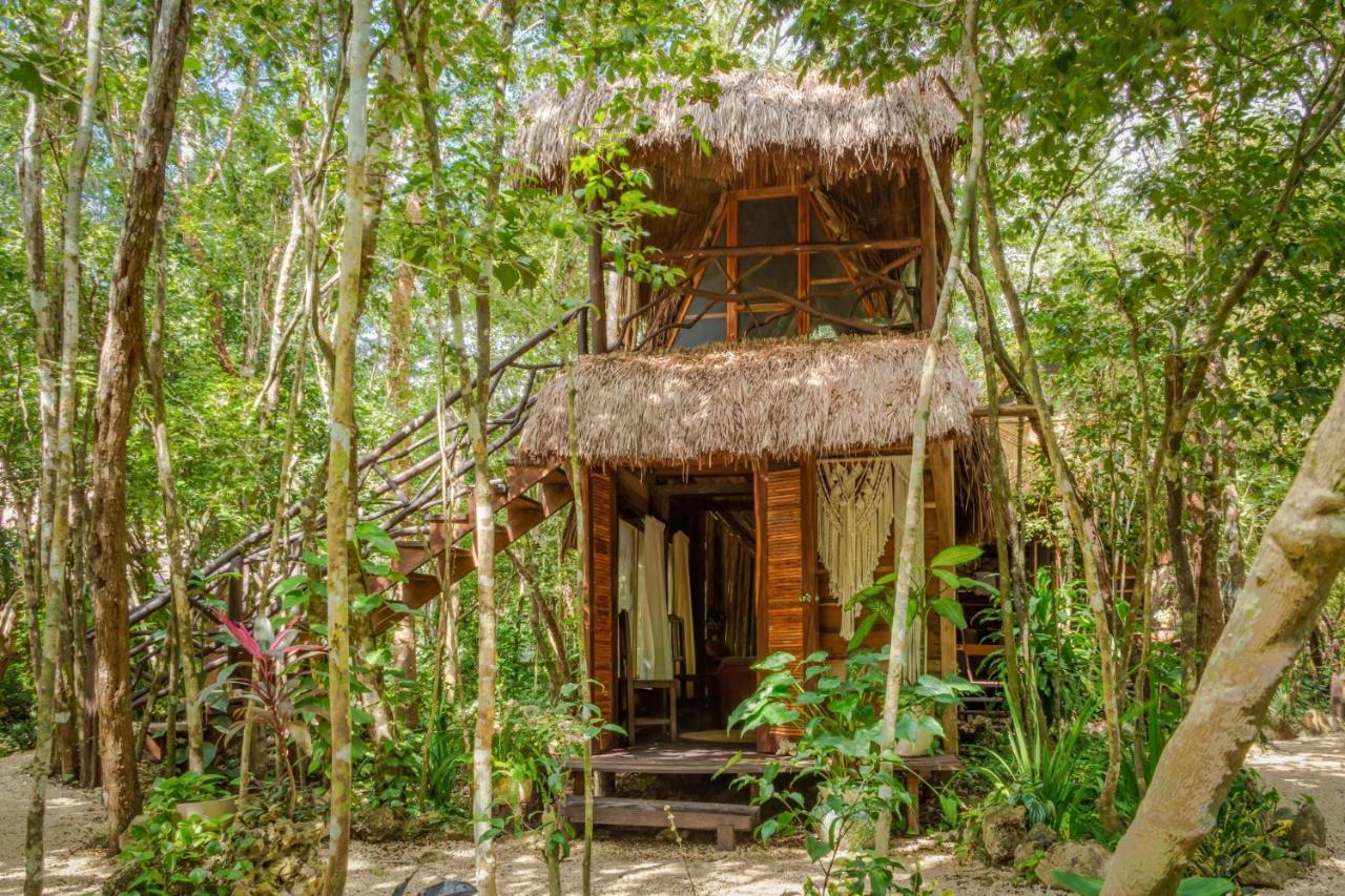 Madre Tierra Eco Habitat Vendégház Puerto Morelos Kültér fotó