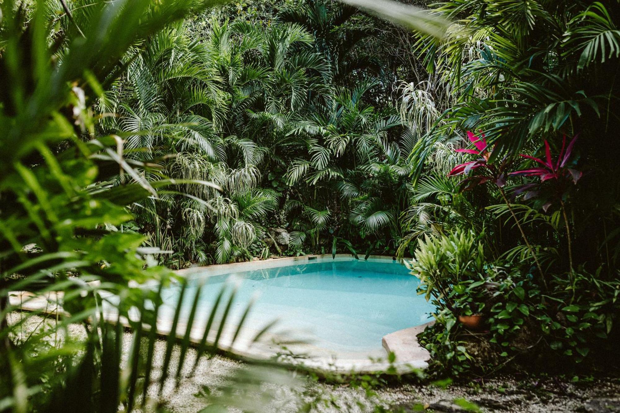 Madre Tierra Eco Habitat Vendégház Puerto Morelos Kültér fotó